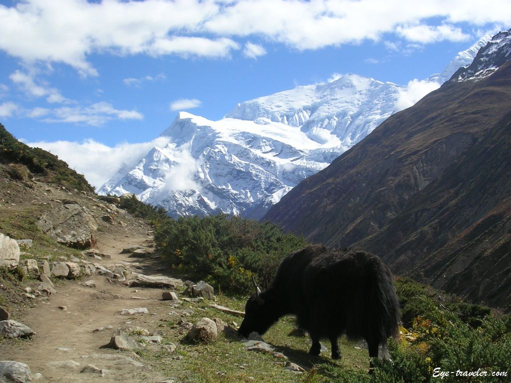 Massif des Annapurna, Nepal
